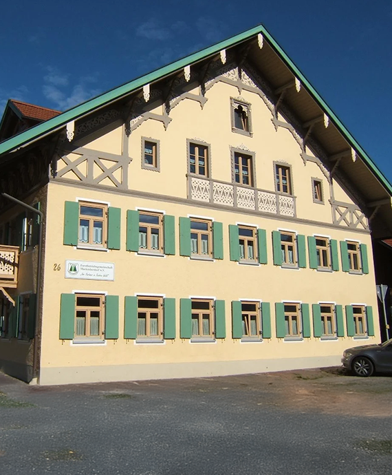 Waldbild
