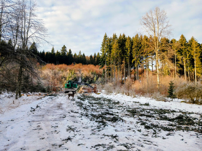 Waldwertschätzung